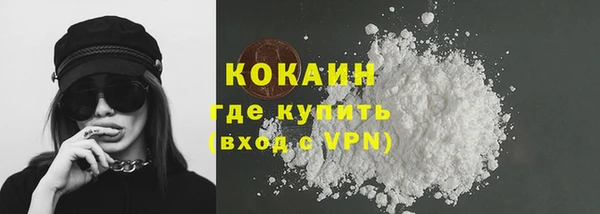 дурь Сатка