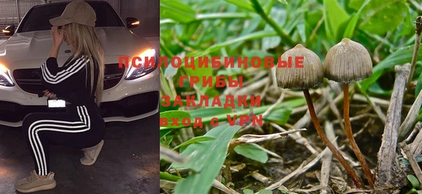 амф Алексин