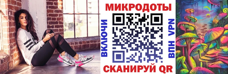 Галлюциногенные грибы Psilocybine cubensis Кизел